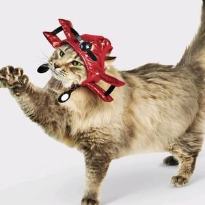 HYDE & EEK Biplane Velcro Cat Hat